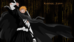 Bleach kurosaki ichigo the