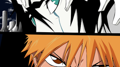 Bleach kurosaki ichigo Ulquiorra