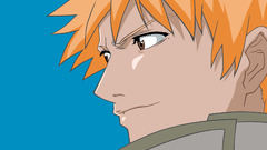 Bleach kurosaki ichigo wide