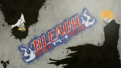 Bleach kurosaki ichigo zangetsu