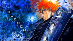 Bleach kurosaki ichigo zanpakuto
