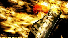 Bleach kurosaki ichigo zanpakuto
