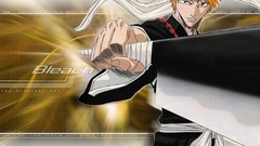 Bleach kurosaki ichigo zanpakuto