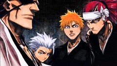 Bleach kurosaki ichigo Zaraki Kenpachi Hitsugaya Toshiro Abarai 