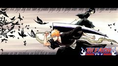 Bleach Manga Anime