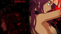 Bleach shihouin yoruichi