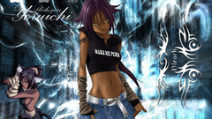 Bleach shihouin yoruichi