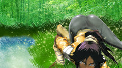 Bleach shihouin yoruichi