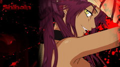 Bleach shihouin yoruichi