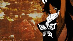 Bleach shihouin yoruichi