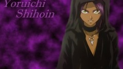 Bleach shihouin yoruichi