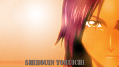 Bleach shihouin yoruichi Anime