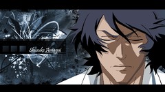 Bleach Shinigami Anime