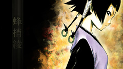 Bleach Soifon Profile