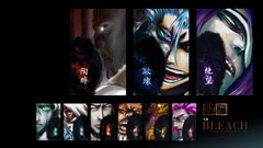 Bleach Tia harribel Espada