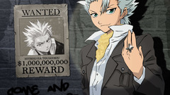 Bleach vector Wanted hitsugaya