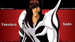 Bleach Yasutora Sado bionic hand