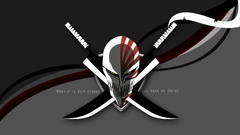 Bleach zanpakuto hollow mask
