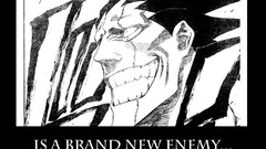 Bleach Zaraki Kenpachi Anime