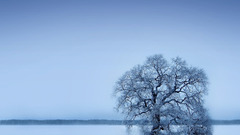 Bleak Landscapes nature winter