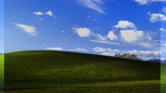 Bliss Made This what