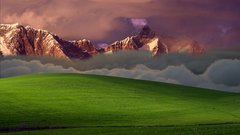 Bliss modification did )