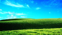 Bliss summer colorful nature