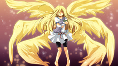 Blondes angels wings long