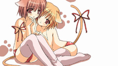 Blondes animal ears red