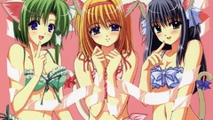 Blondes anime girls blue eyes green hair bra nekomimi purple 