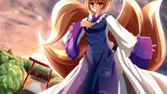 Blondes anime girls touhou animal ears tails yakumo ran video 