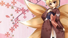 Blondes anime girls touhou animal ears tails yakumo ran video 
