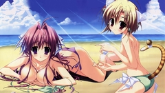 Blondes bikini anime girls