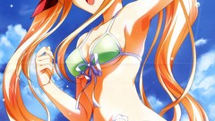 Blondes bikini hentai