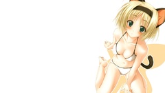 Blondes bikini nekomimi animal