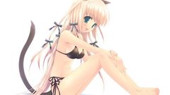 Blondes bikini nekomimi animal