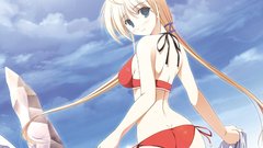 Blondes bikini rocks visual