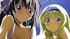 Blondes blush anime girls blue eyes infinite stratos shinonono 