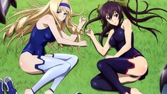Blondes bodysuits infinite stratos