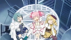 Blondes cats Animals blue