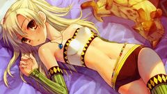 Blondes cats Animals long