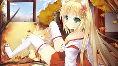 Blondes green eyes animal ears miko Japanese clothes thigh 