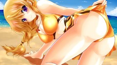 Blondes infinite stratos Dunois