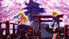 Blondes long hair anime girls short hair touhou cherry blossoms 