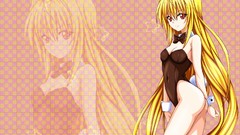 Blondes long hair bunny