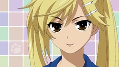 Blondes school uniforms brown