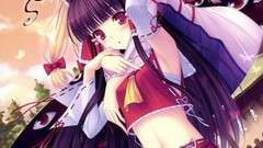 Blondes touhou dress skirts