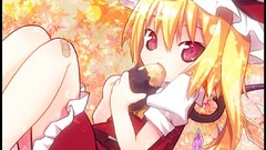 Blondes touhou food red