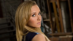 Blondes woman Actress hayden