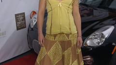 Blondes woman Actress hayden